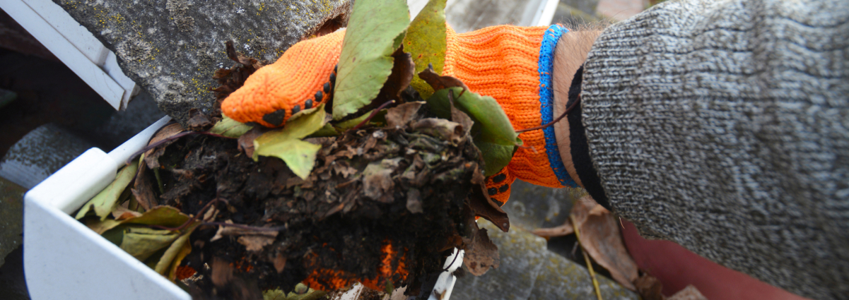 gutter cleaning image